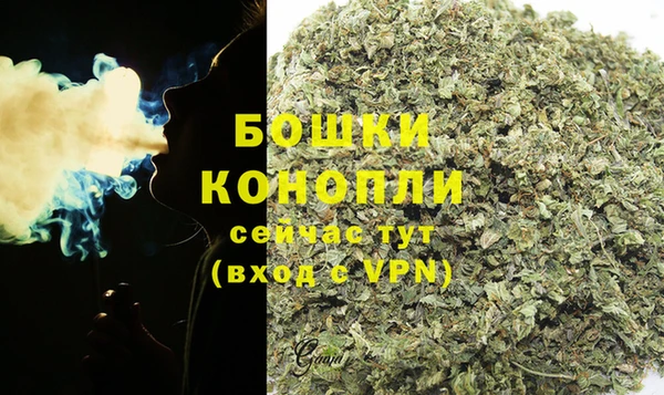 гашик Медвежьегорск