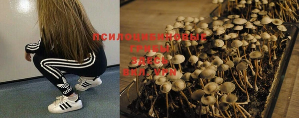 таблы Медногорск
