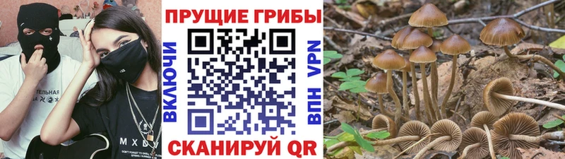 Псилоцибиновые грибы ЛСД  сколько стоит  Нелидово 